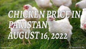 Chicken Price in Pakistan Today 16th August 2022 Per Kg