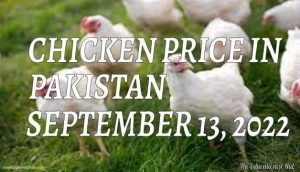 Chicken Price in Pakistan Today 13th September 2022 Per Kg