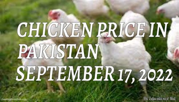 Chicken Price in Pakistan Today 17th September 2022 Per Kg