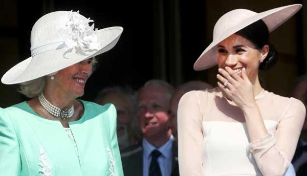 Royal Author Reveals What Camilla Thinks Of Prince Harry And Meghan