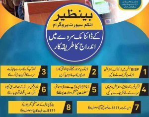 8171 Check Online CNIC NSER Survey