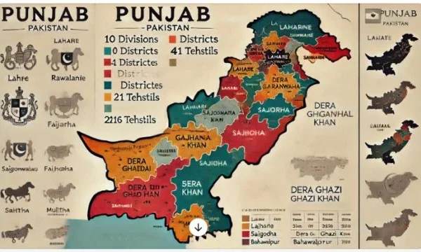 punjab administrative structure new districts n tehsil